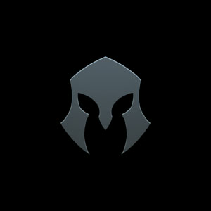 icon 29