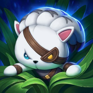 붉은 너구리#KR1