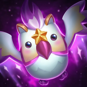 ARAM サポート#aram
