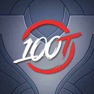 mirzli#100T