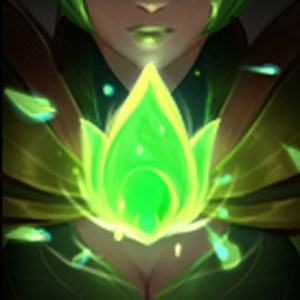 Naviiii