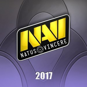 NaVi Cat