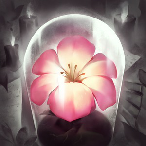 SRi