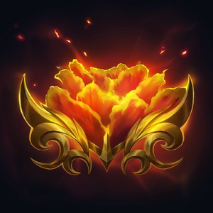 icon 6294
