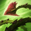 <b>Grasping Roots</b> <br> <i>Zyra sends forth vines through the ground to ensnare her target, dealing damage and rooting enemies they come across. If cast near a seed, Grasping Roots grows a Vine Lasher, whose short range attacks reduce enemy Move Speed.</i>