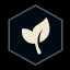 Elderwood