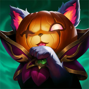 gatito